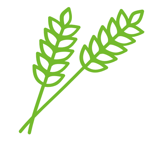 Vegetable leaf Icon