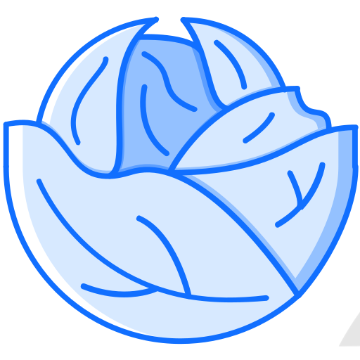 cabbage Icon