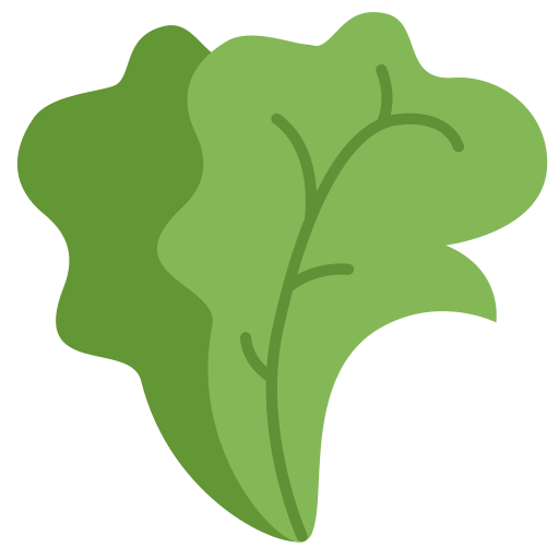 Romaine Lettuce Icon