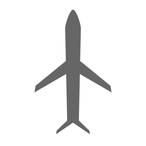 Flight Mode Icon