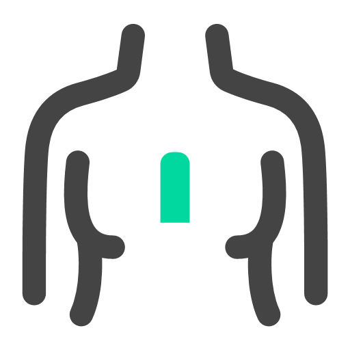 chest Icon