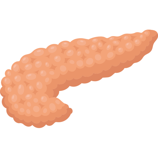 pancreas Icon