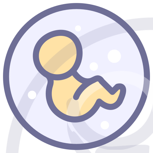 Fetus, pregnancy Icon
