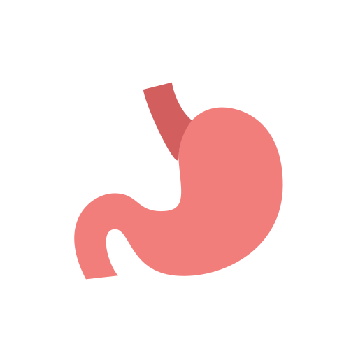 stomach Icon