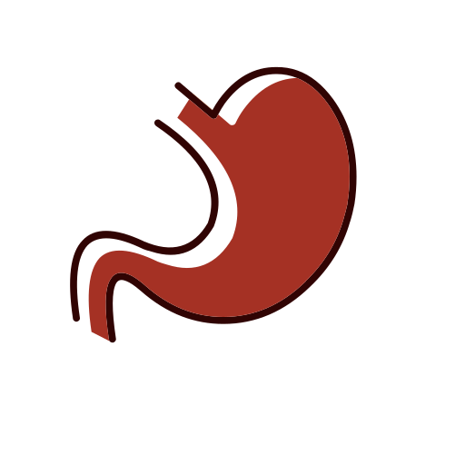 Medicine stomach Icon