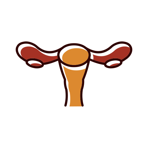 Medicine - uterus Icon