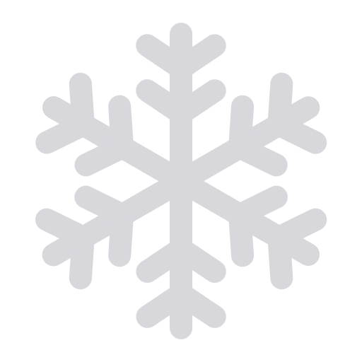 2 snowflake  christm Icon