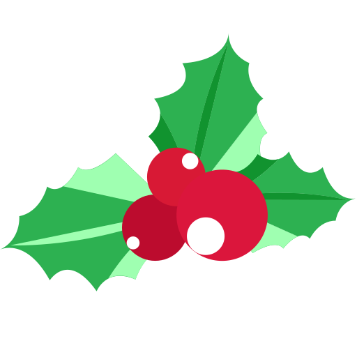 Christmas fruit Icon