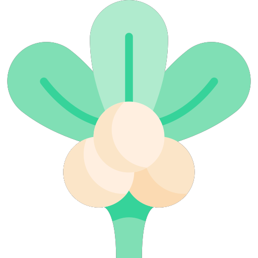 045-mistletoe Icon
