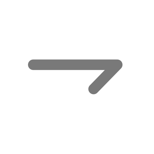 Single arrow - right Icon
