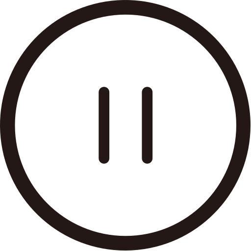 Pause - linear Icon Icon