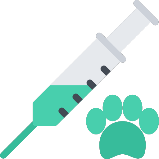 pet injection Icon
