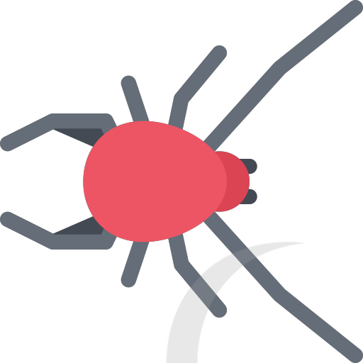 spider Icon