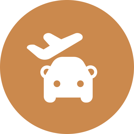 Pick someone up at the airport Icon