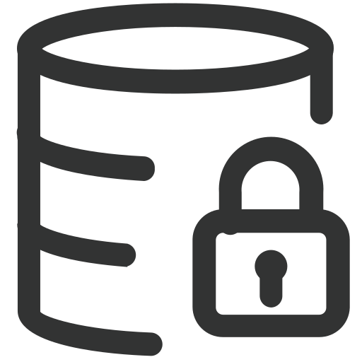 Data authority management Icon