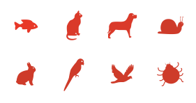 Animal Simple Icon Icons
