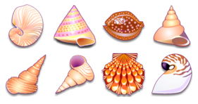Sea Shells Icons