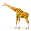 giraffe Icon