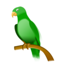 parrot Icon
