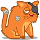 cat pirate Icon