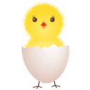 chicken egg shell Icon