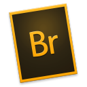 Adobe Br Icon