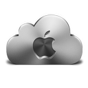 Apple Silver Icon