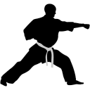 karate punch Icon