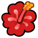 Native Hibiscus Icon