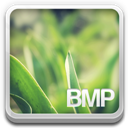 bmp file Icon