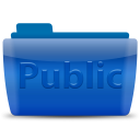 Public Icon