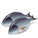 Fish Dorada Icon