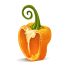 Pepper 4 Icon