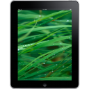 iPad Front Grass Background Icon