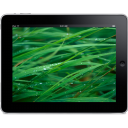 iPad Landscape Grass Background Icon