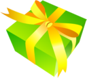 Gift Green Icon