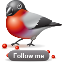 bullfinch follow Icon