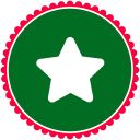 Christmas Star Icon