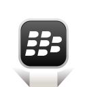 Blackberry Icon