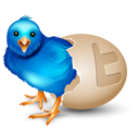 twitter egg Icon