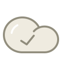 Cloud check Icon