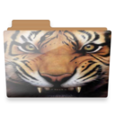 tiger folder Icon