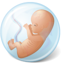 Body Embryo Icon
