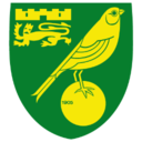 Norwich City Icon