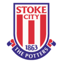 Stoke City Icon