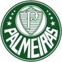Palmeiras Icon