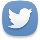 web twitter Icon