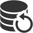 Data Data backup Icon