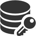 Data Data encryption Icon