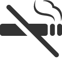 Objects No smoking Icon